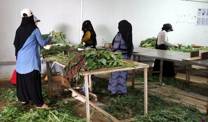 Anneler Günü çiçekleri Antalya'dan