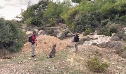 Gazipaşa'da kayıp Seda Nur için umut