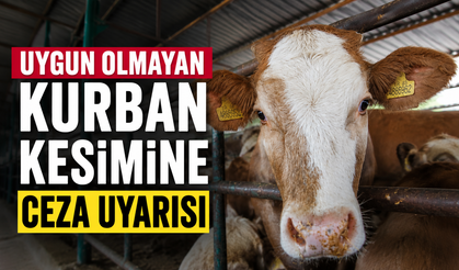 Uygun olmayan kurban kesimine ceza uyarısı