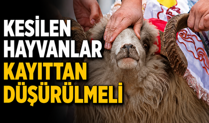 Kesilen hayvanlar kayıttan düşürülmeli