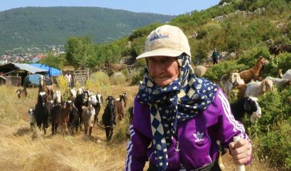 94 yaşında, 90 yıldır keçileriyle dağlarda
