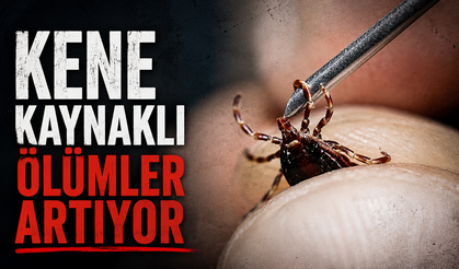 Kene kaynaklı ölümler artıyor