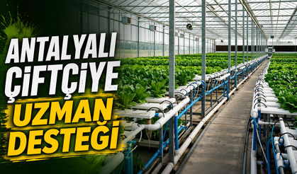 Antalyalı çiftçiye uzman desteği