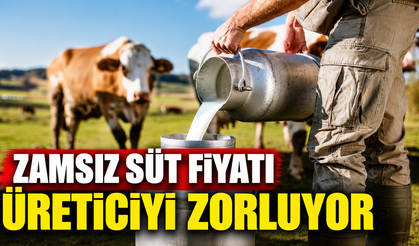 Zamsız süt fiyatı üreticiyi zorluyor