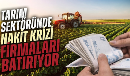 Tarım sektöründe nakit krizi firmaları batırıyor