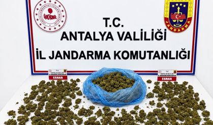 Jandarmadan uyuşturucu operasyonu