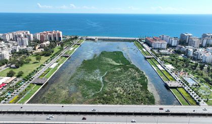 Boğaçayı'nda doğal yaşam dengesi korunuyor