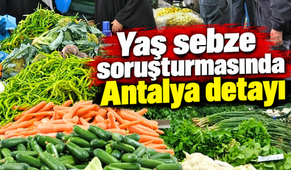 Yaş sebze soruşturmasında Antalya detayı