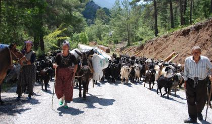 Yörüklerin dönüş yolculuğu başladı