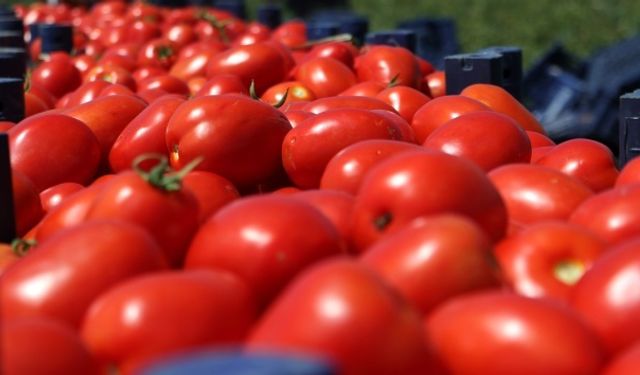 ATB Kasım hal endeksini açıkladı