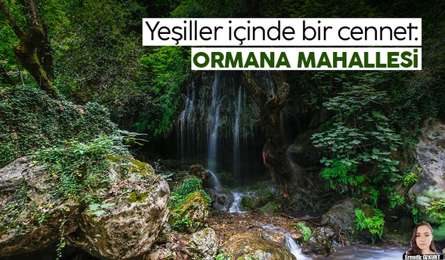 Ormana: Zamanın dokusunu taşıyan bir köy