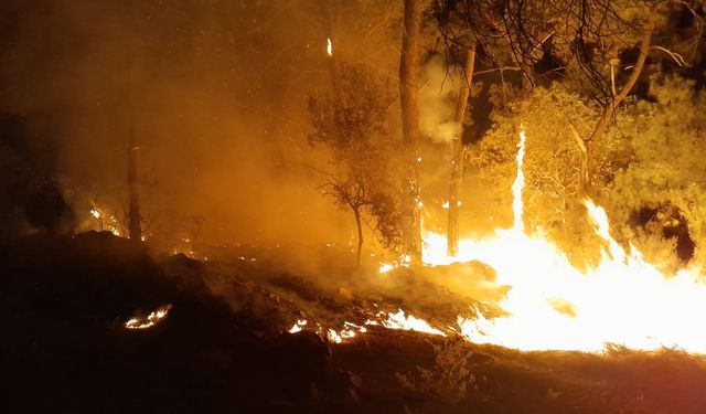 Kemer'de orman yangını