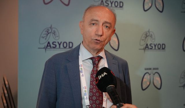 Her yıl 40 bin kişi hayatını kaybediyor