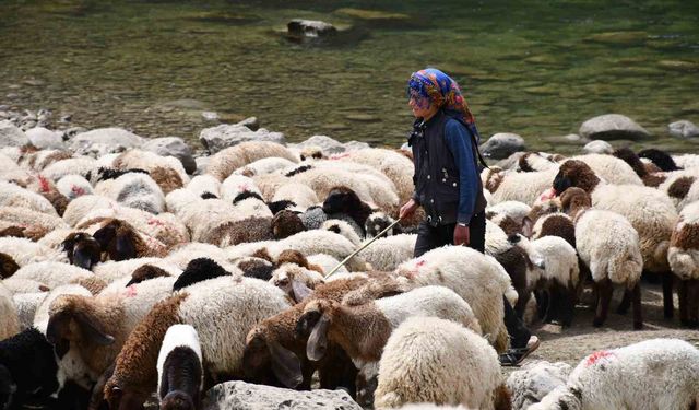 Bir çocuğun sessiz çığlığı