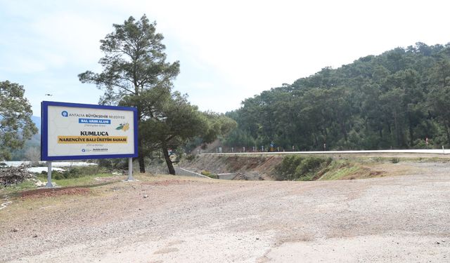 Narenciye balı için coğrafi işaret çalışması