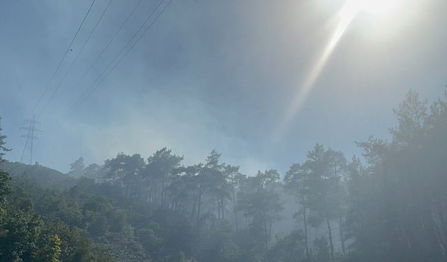Marmaris'te orman yangını