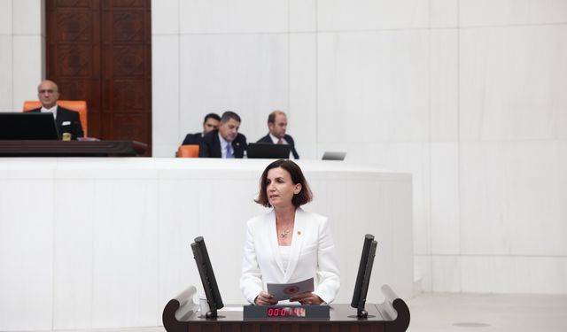 CHP'li Aliye Coşar’dan sert tepki