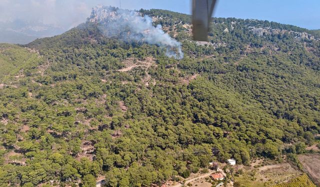 Kemer'de orman yangını