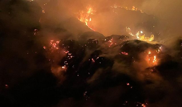 2 bin saman balyası yandı