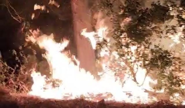 Burdur'daki orman yangını korkuttu