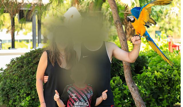 Papağan yasağı tepki yarattı