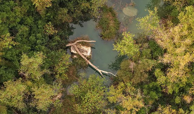 Antalya'nın doğa harikasında görsel şölen