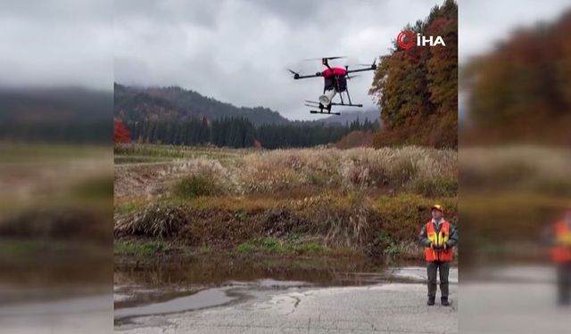 Japonya'da ayı saldırılarını önlemek için 'havlayan dron'