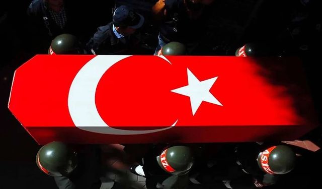 Şehit aileleri için ‘acıyı tekrarlatmayın’ dilekçesi