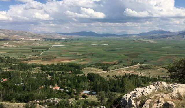 Arı: Yanlıştan derhal dönün