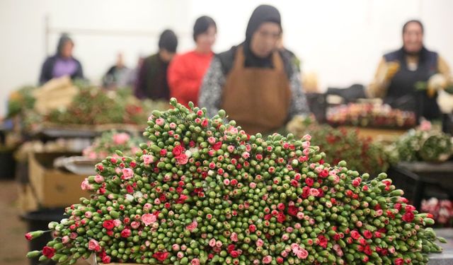 Yılbaşı çiçekleri Antalya'dan