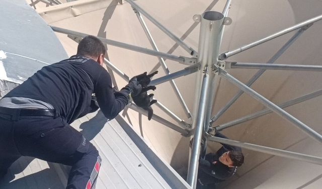 Pazar yerinde kedi kurtarma operasyonu