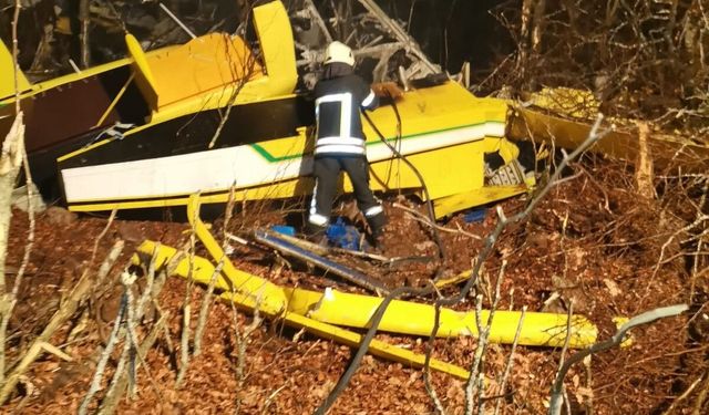 Türkiye'ye ait yangın söndürme uçağı düştü: Pilot şehit oldu