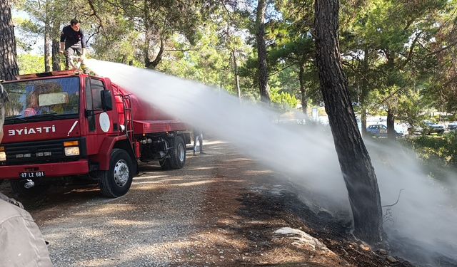 Ormanlık alanda yangın