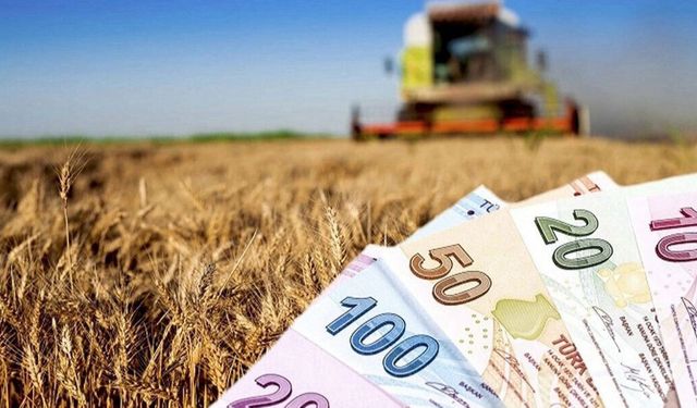 Devlet bankalarında çiftçi için kredi talebi