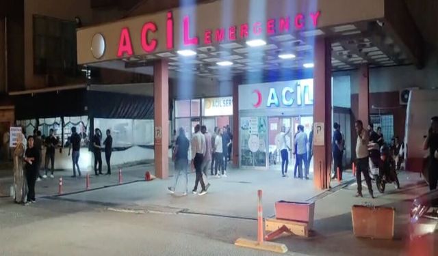 Şırnak'ta dehşet: Evine gelen kişiyi baltayla öldürdü!