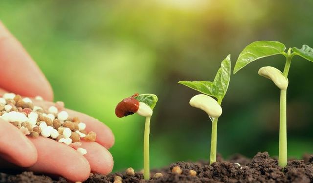 Gençlere sürdürülebilir girişimcilik yolları anlatılacak