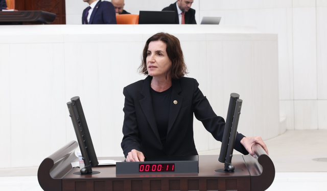 Aliye Coşar'dan sert sözler: Facianın sorumlusu sizsiniz!