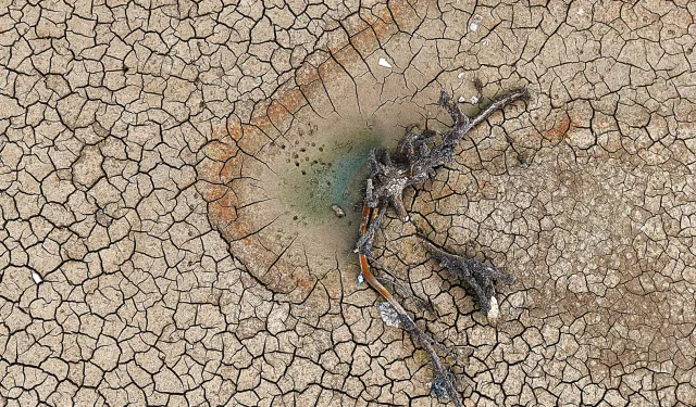 Su krizi üretim desenini değiştiriyor