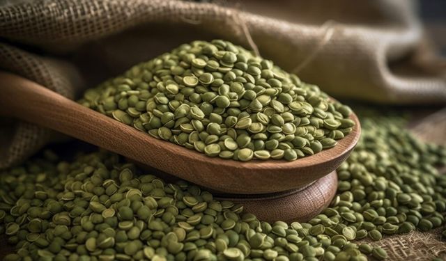 İthalatta vergi sıfırlandı, üreticiden tepki yükseldi