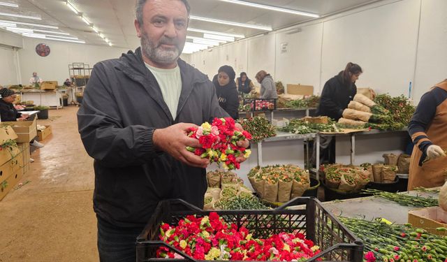 Sirtaki yerine Türk karanfili