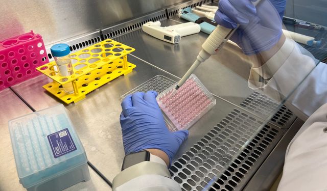 Çip üstü organ teknolojisiyle araştırılıyor