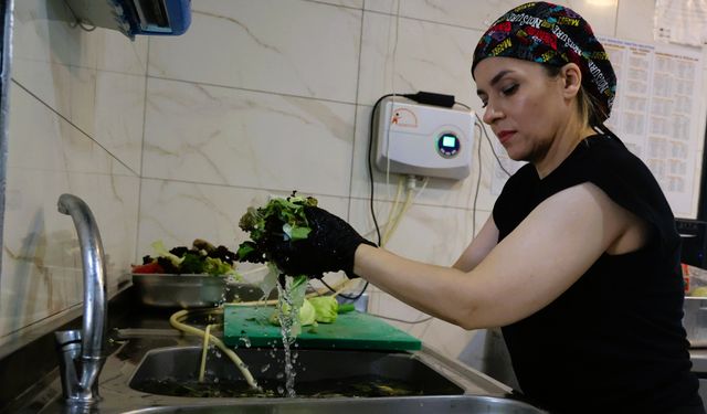 Sebze ve meyveler ozonlu su ve gazla yıkanıyor