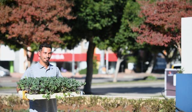 Konyaaltı caddeleri rengarenk