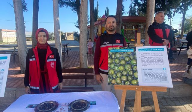 Aksu'dan coğrafi işaret atağı