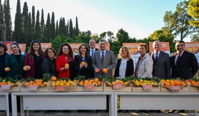 Tescillenen Antalya portakalları tanıtıldı