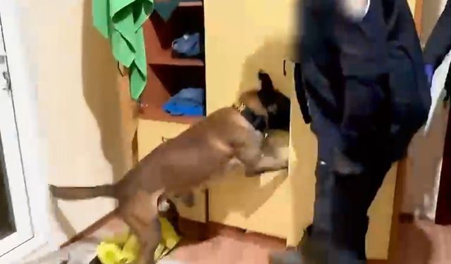 Narkotik operasyonunda 4 tutuklama