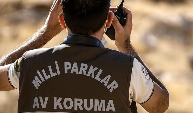 Yaban keçisi vuran avcıya 953 bin TL ceza