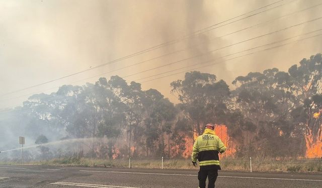 Orman yangınında itfaiye görevlisi öldü