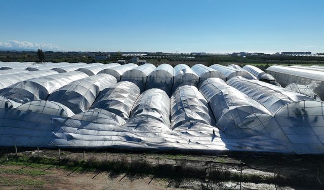 Manavgat'ta hasar tespit çalışması