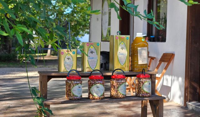 Antalya'nın altın değeri